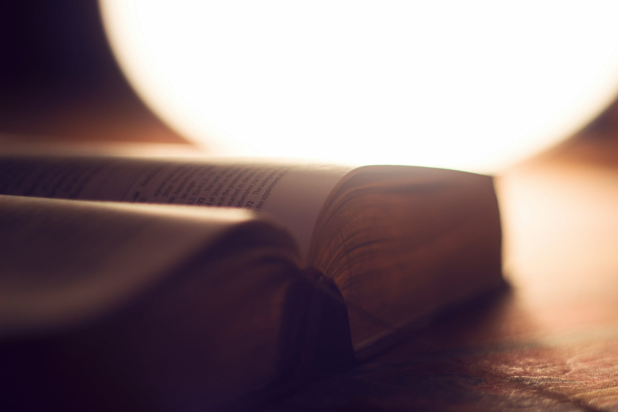 Close-up shot of a dictionary opened down the middle and lit by a warm light